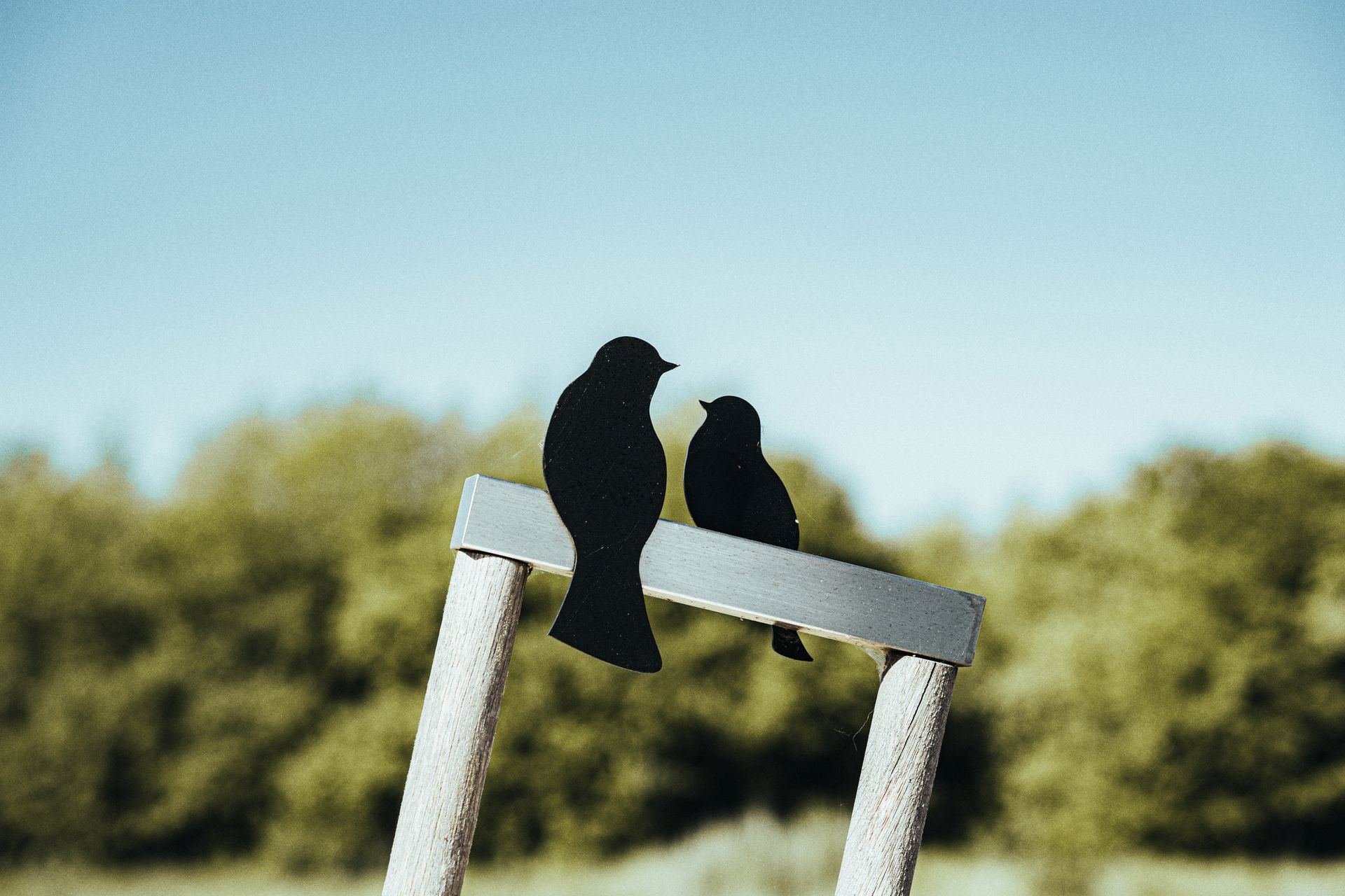 A close-up of bird silhouettes perched on a wooden structure in a summer field.