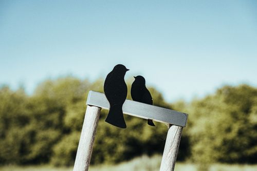 Free A close-up of bird silhouettes perched on a wooden structure in a summer field. Stock Photo