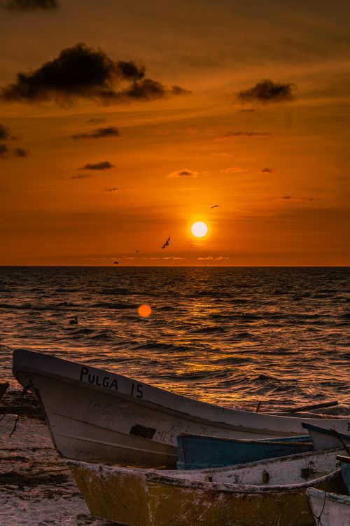 Free Stunning sunset at Progreso beach with fishing boats, capturing a vibrant seascape view. Stock Photo