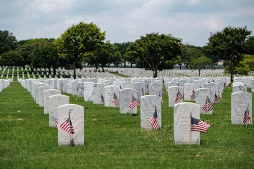 Immagine gratuita di bandiera americana, caduto, cimitero