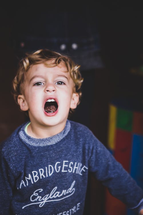 Foto d'estoc gratuïta de bufó, infant, menjant