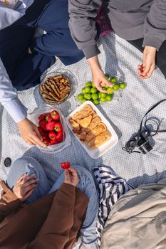 Overhead shot of a picnic featuring fruits, snacks, and a camera, depicting a relaxed outdoor gathering.
