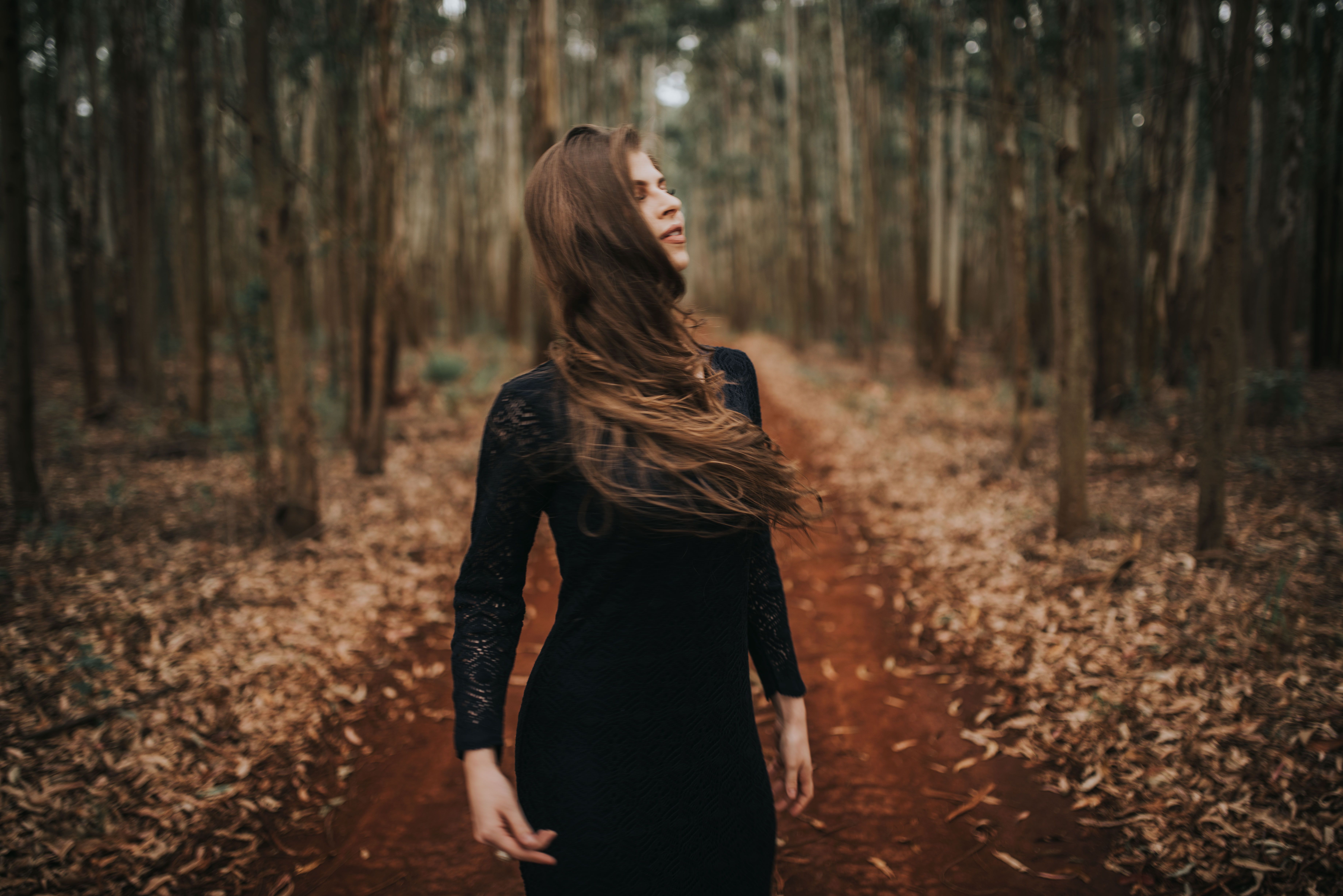 Beautiful Woman in Black Dress Standing in the Forest · Free Stock Photo