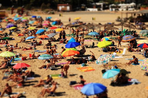 Free View of Umbrellas and People on a Crowded Beach Stock Photo