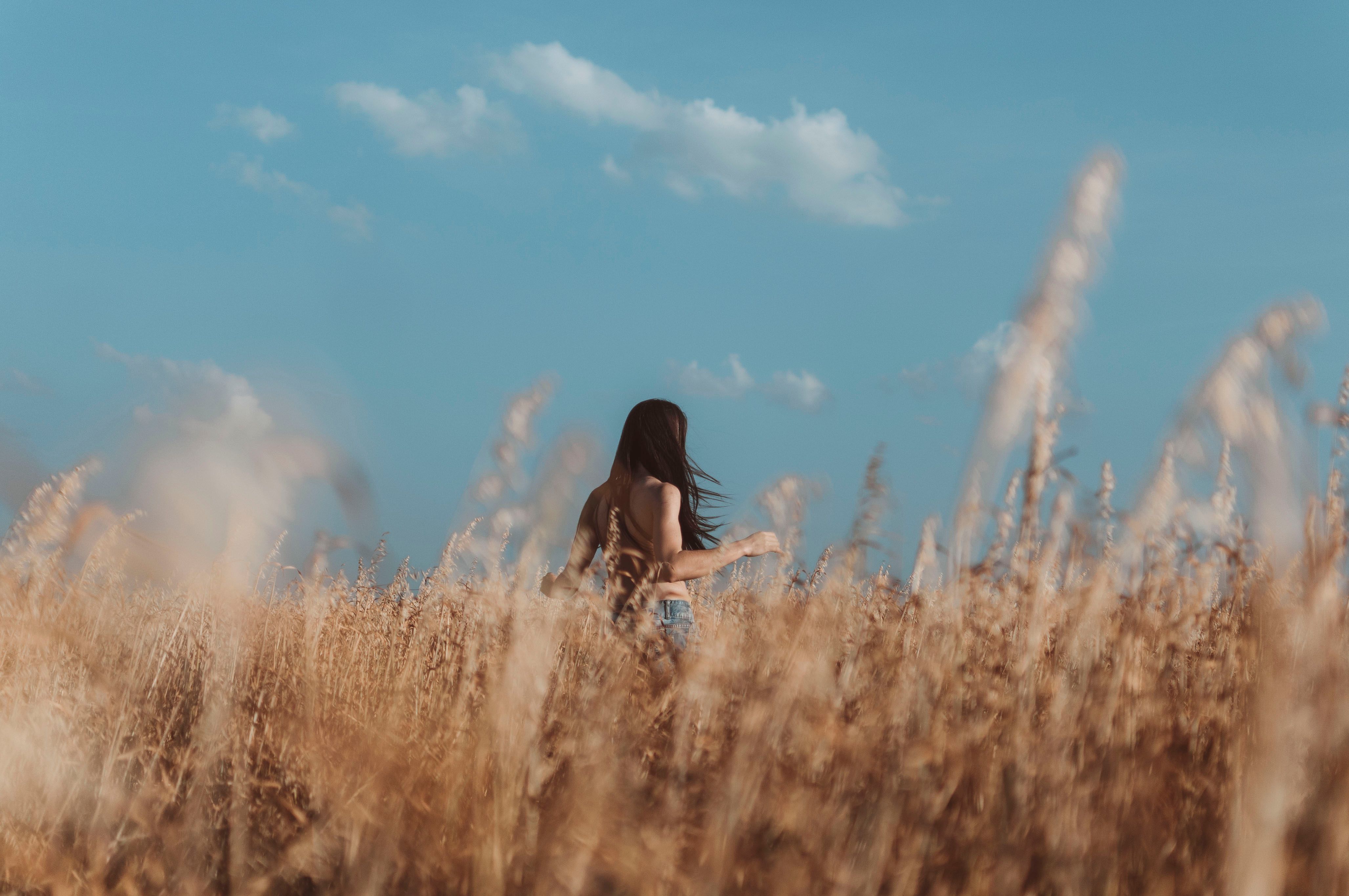 Back View of a Brunette Walking in a Dry Grass Field · Free Stock Photo