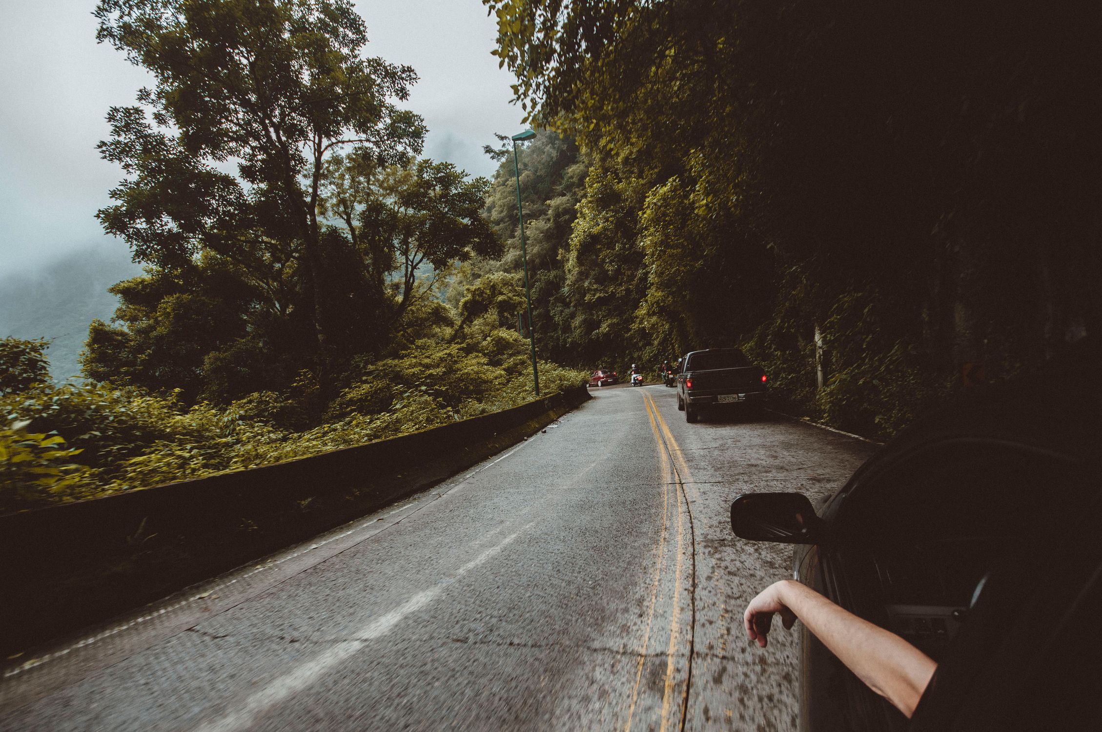 Car journey through a winding forest road under misty weather, capturing nature and adventure