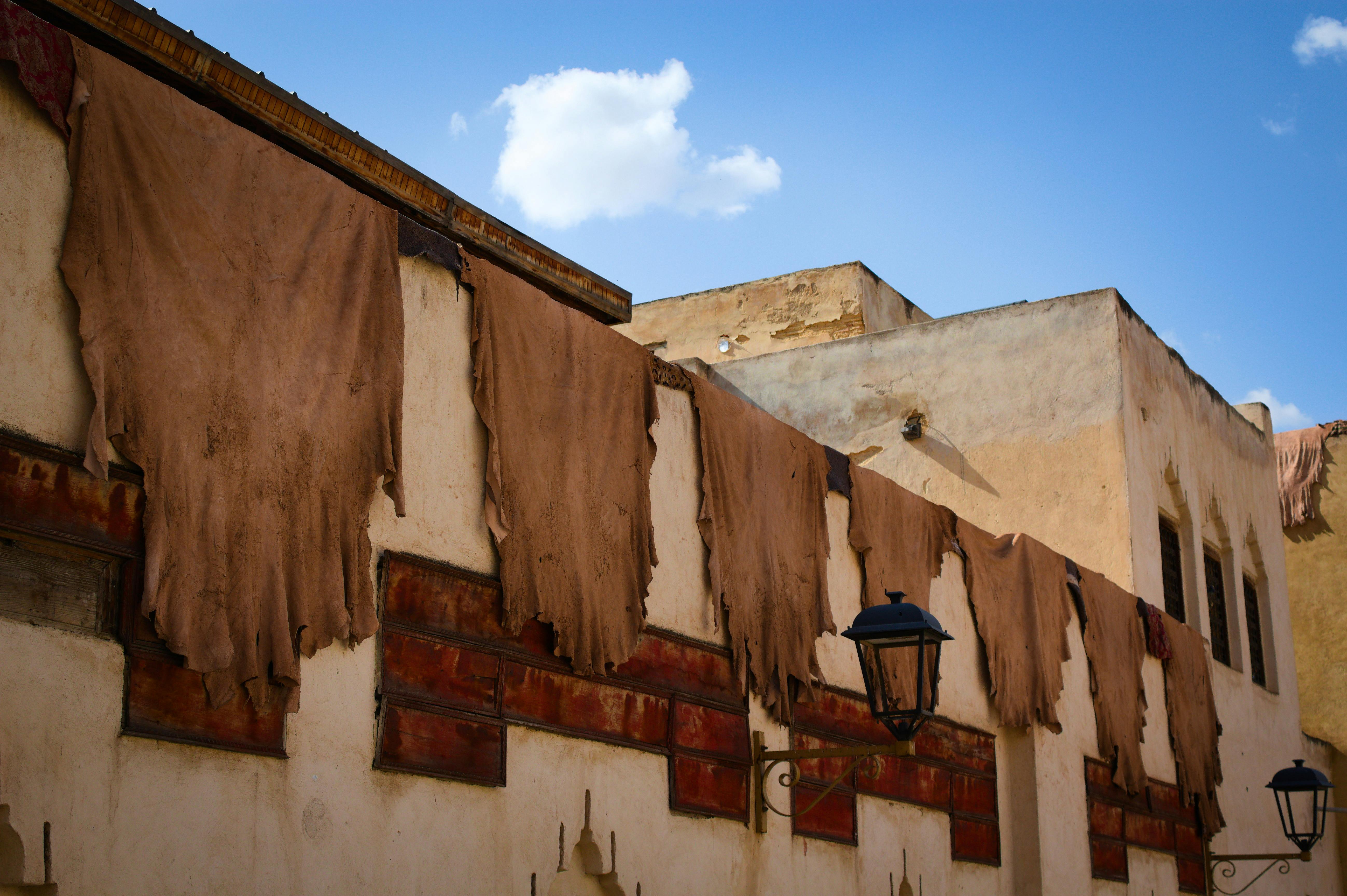 Fez skyline and iconic landmarks