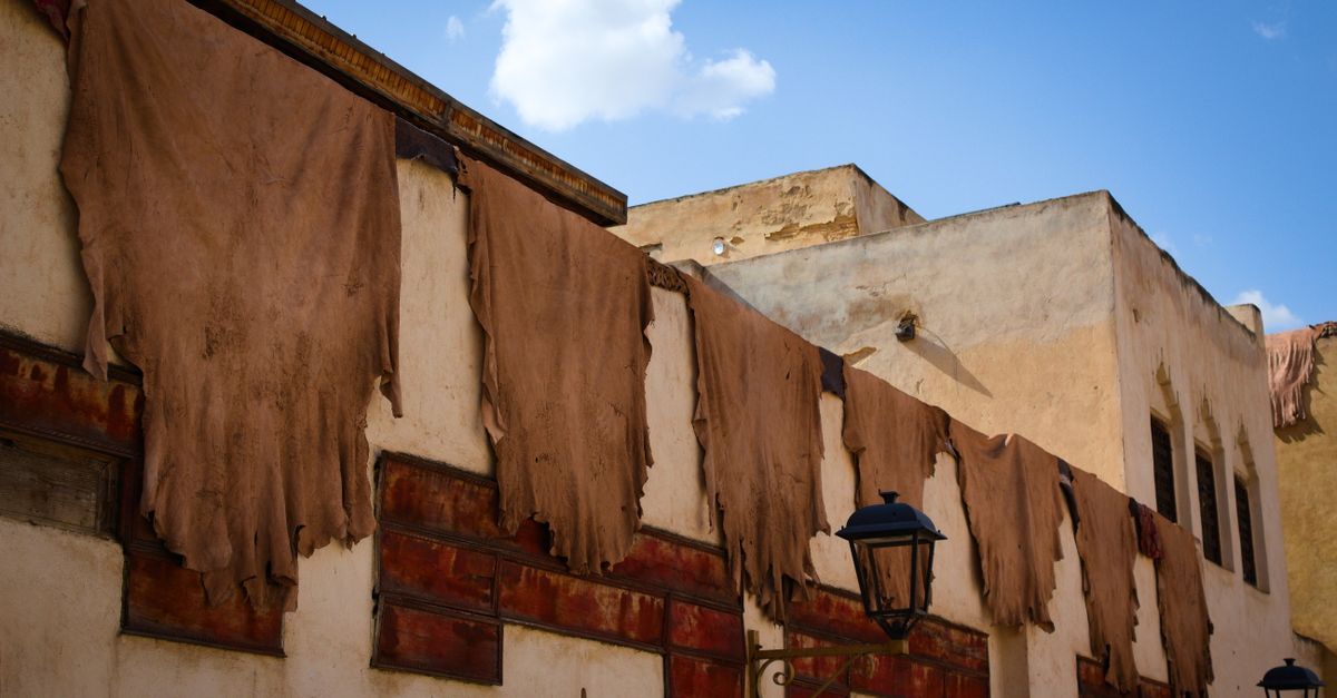 Fez skyline and iconic landmarks