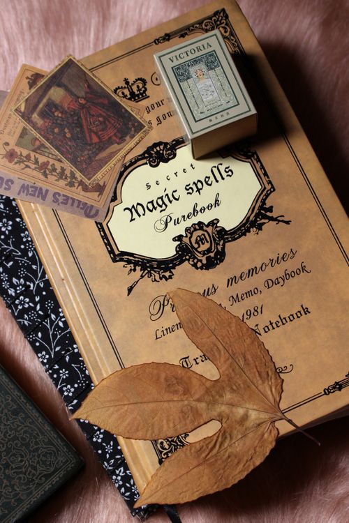 flat lay of a vintage journal with a dry leaf and antique ephemera