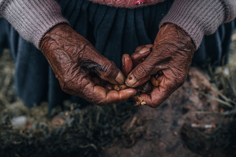 Close-up of elderly hands holding nuts outdoors in Cusco, Peru.
