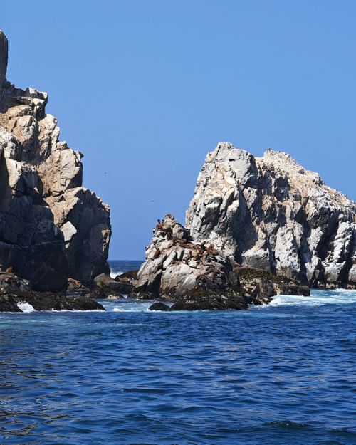 Free Islas Palomino Stock Photo