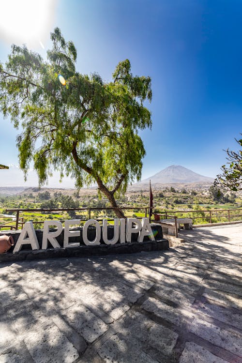 Foto d'estoc gratuïta de arbre, arequipa, ciutat