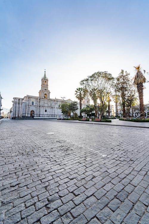 Foto d'estoc gratuïta de arbres, arequipa, basílica catedral