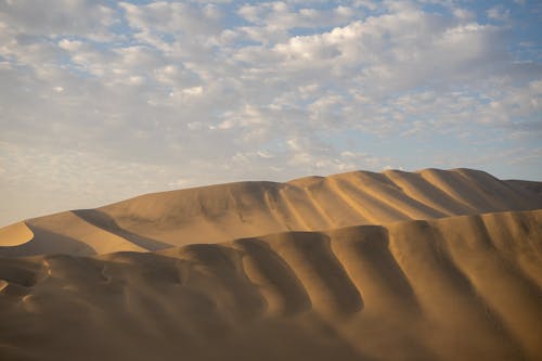 Sand Dunes on Desert