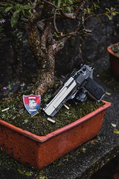 Photo of a Gun and Badge in a Pot with a Bonsai Tree