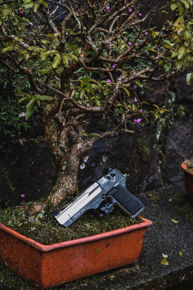 A Gun Lying In A Plant Pot In The Garden 