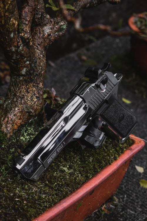 Free Close-up of a chrome handgun on moss in an outdoor planter by a tree trunk. Stock Photo