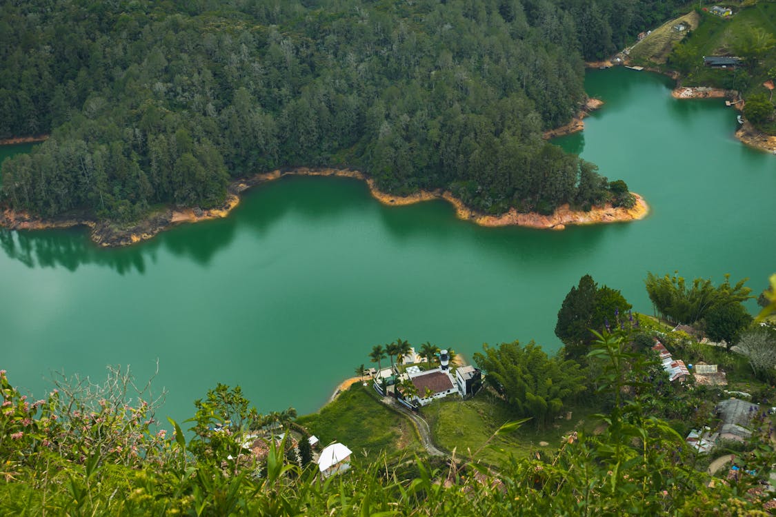 Free Emerald River in Summer Stock Photo