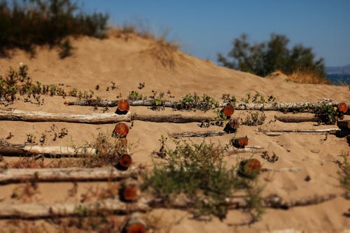 Ingyenes stockfotó hasáb, homok, strand témában