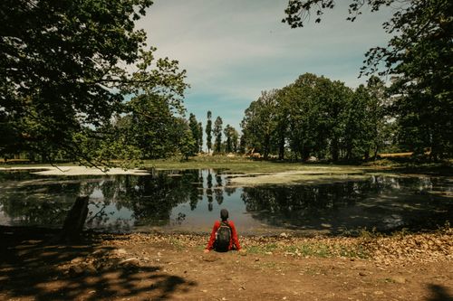 Free Man sits by a serene forest lake, enjoying the peaceful nature scenery. Stock Photo