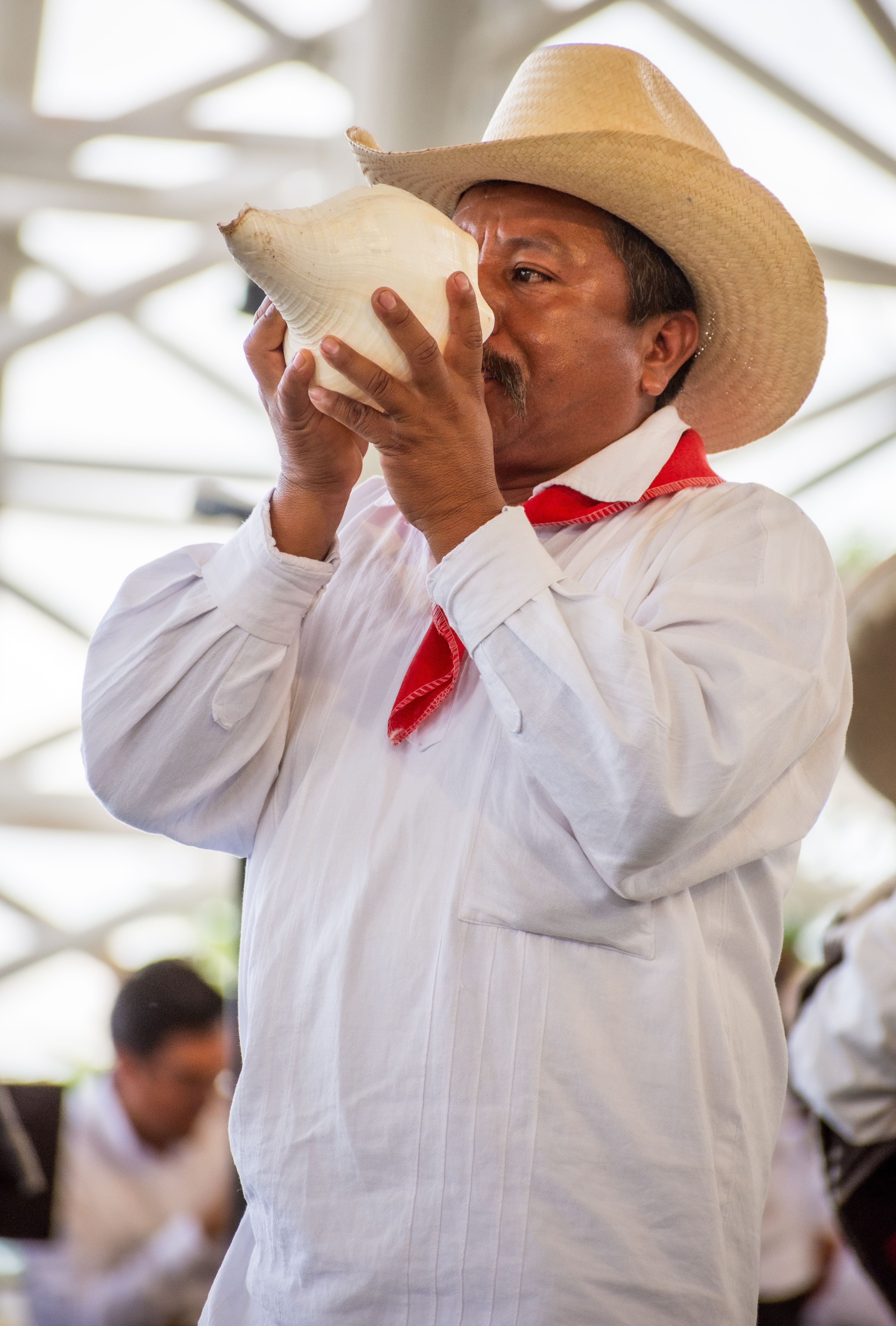 A man in a white shirt and hat is playing a horn · Free Stock Photo