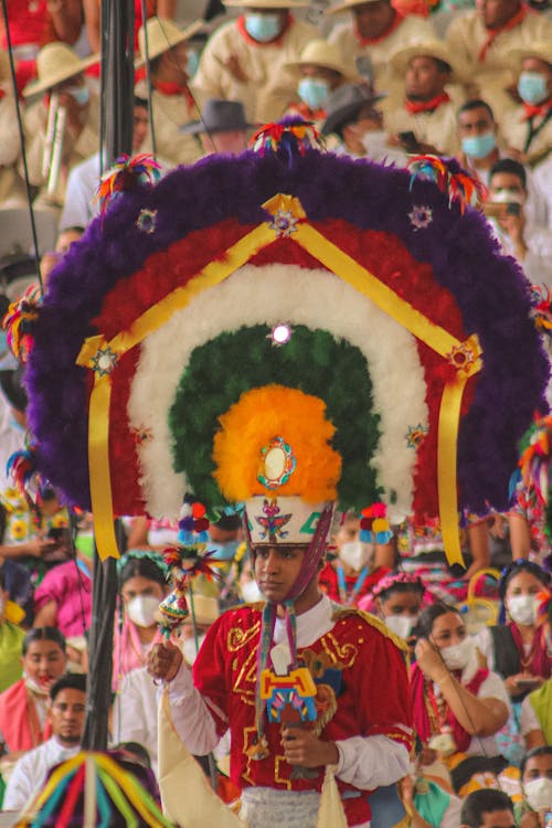 Foto d'estoc gratuïta de carrer, carrers de la ciutat, celebració