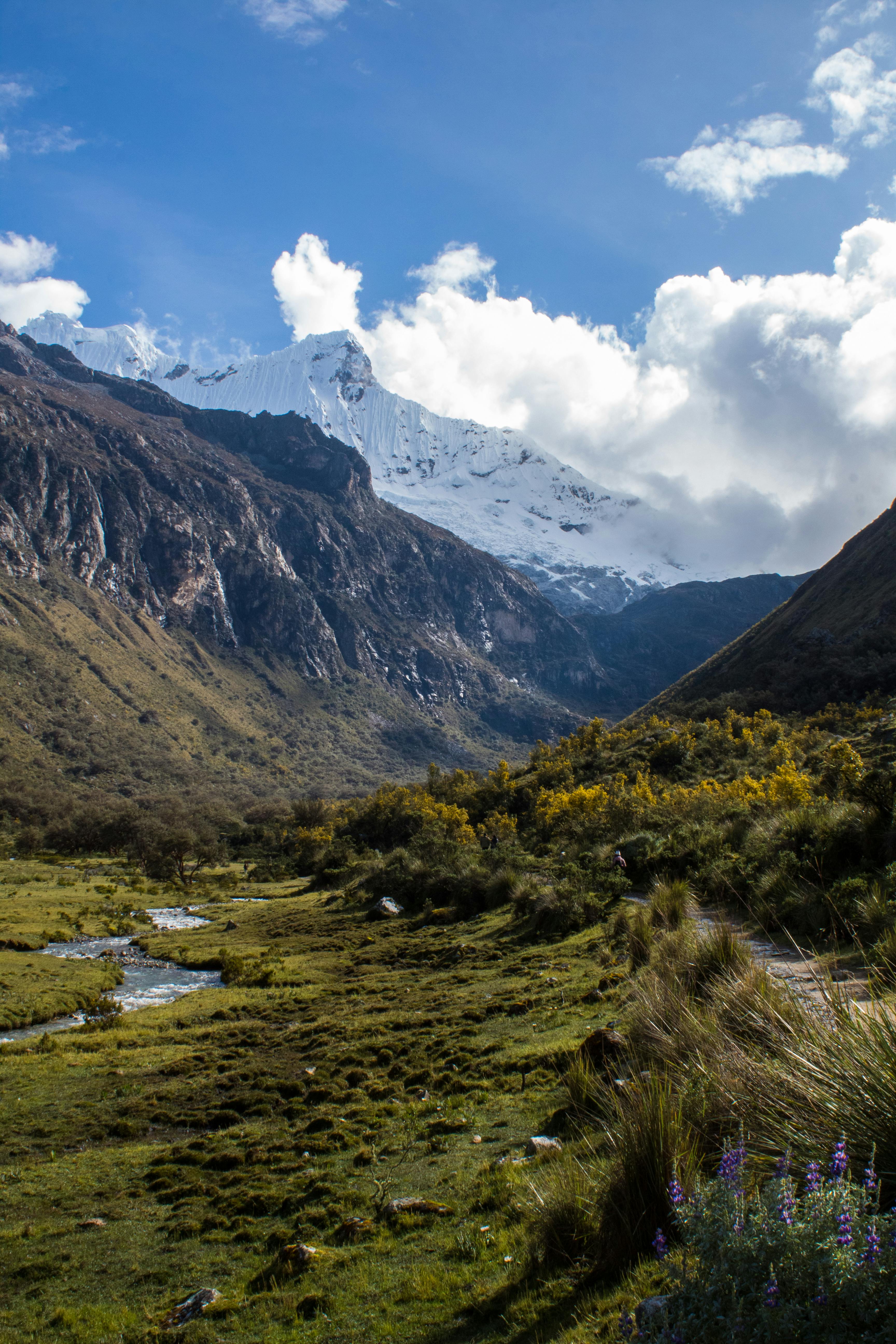 A scenic view of a snowcapped mountain with lush meadows and a meandering stream.