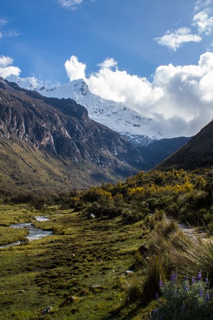 A scenic view of a snowcapped mountain with lush meadows and a meandering stream.