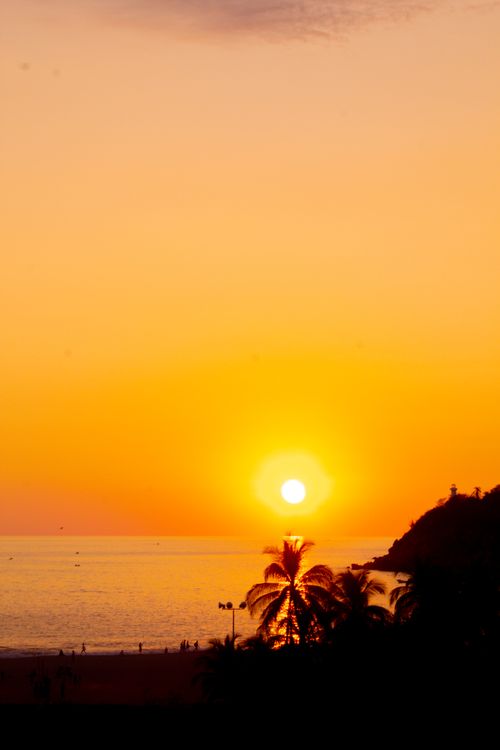 Free A beautiful sunset over the beach with palm trees, creating a serene silhouette scene. Stock Photo