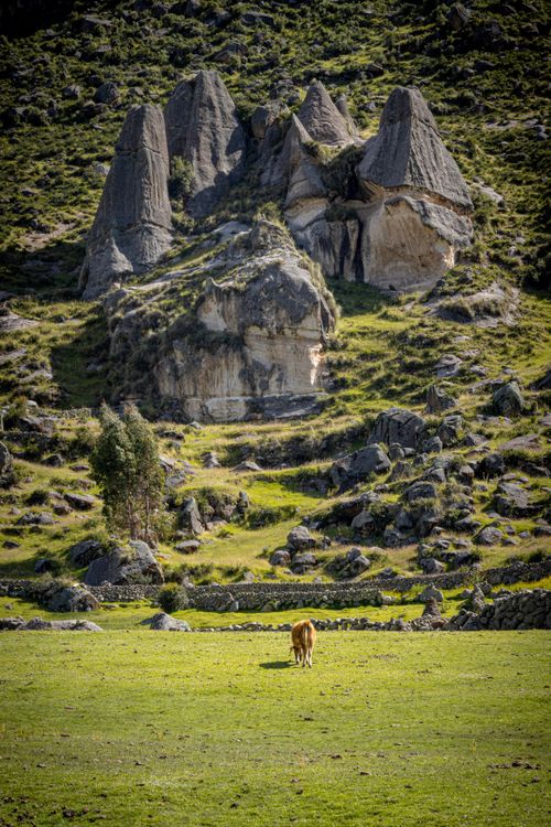 Free Explore the tranquil landscape of Pampachiri, highlighting unique rock formations and a solitary cow grazing. Stock Photo