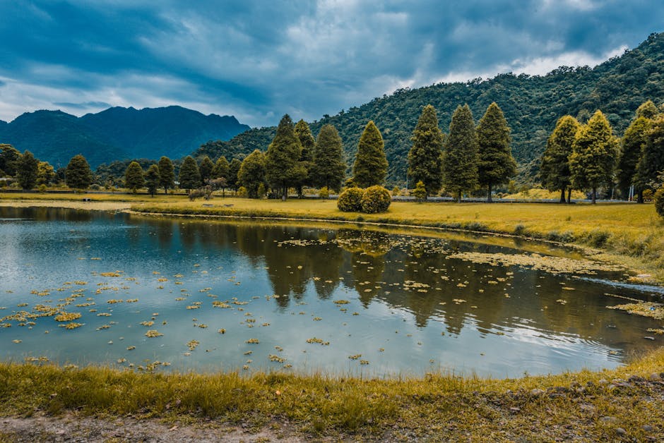 Serene lake view set against verdant forest hills in Yilan, Taiwan. Perfect nature landscape scene.