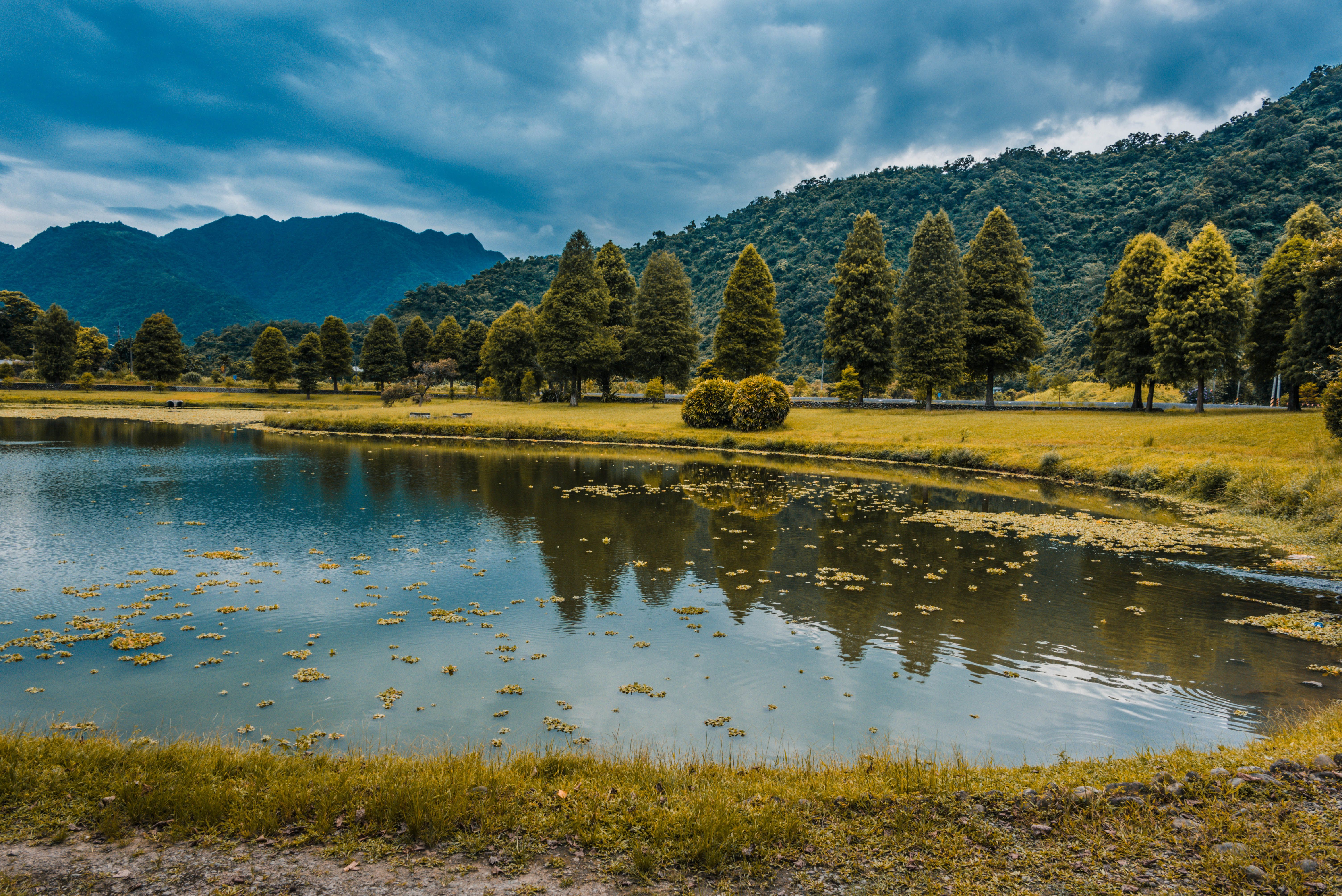 Scenic View of Lake and Forest on the Hills · Free Stock Photo