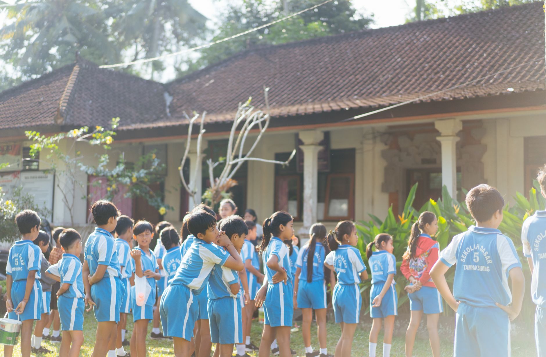 Một trường gà Bali truyền thống với khán giả vây quanh sàn đất, ánh chiều vàng và bầu không khí căng thẳng