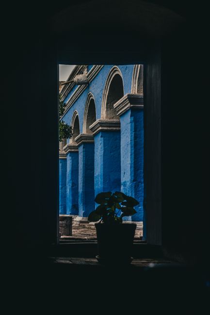 Glimpse of historic Arequipa's blue arches through a window, framed by a silhouette of a potted plant.