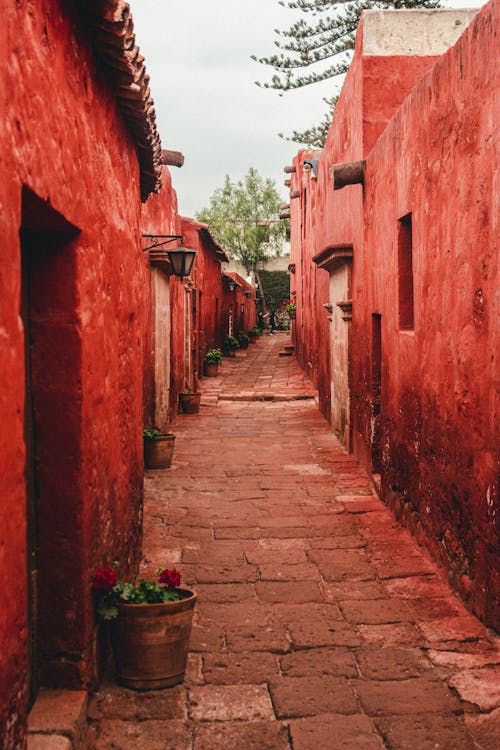 View of a Narrow Alley between Red Buildings 