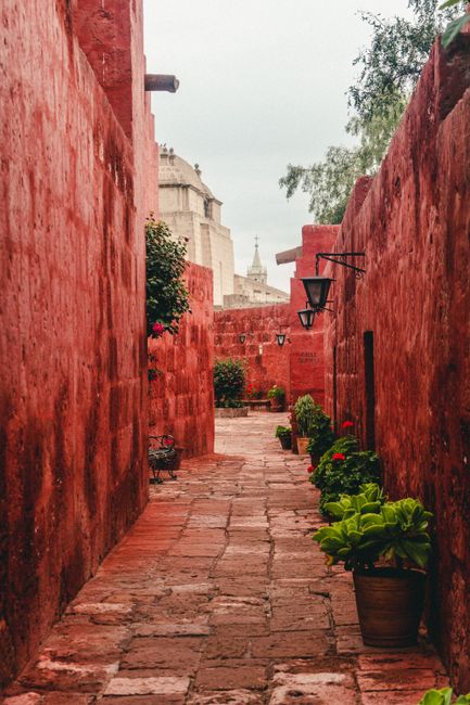Explore the historic red walls and vibrant walkways of Santa Catalina Monastery in Arequipa, Peru.