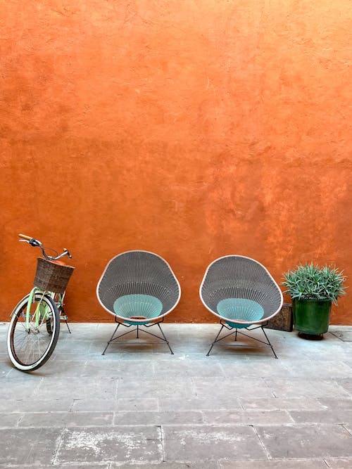 Bike, Chairs and Plant