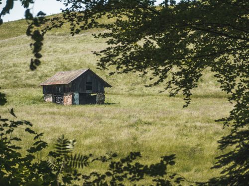 Free A lone wooden cabin in a lush green field framed by trees, showcasing rural tranquility. Stock Photo