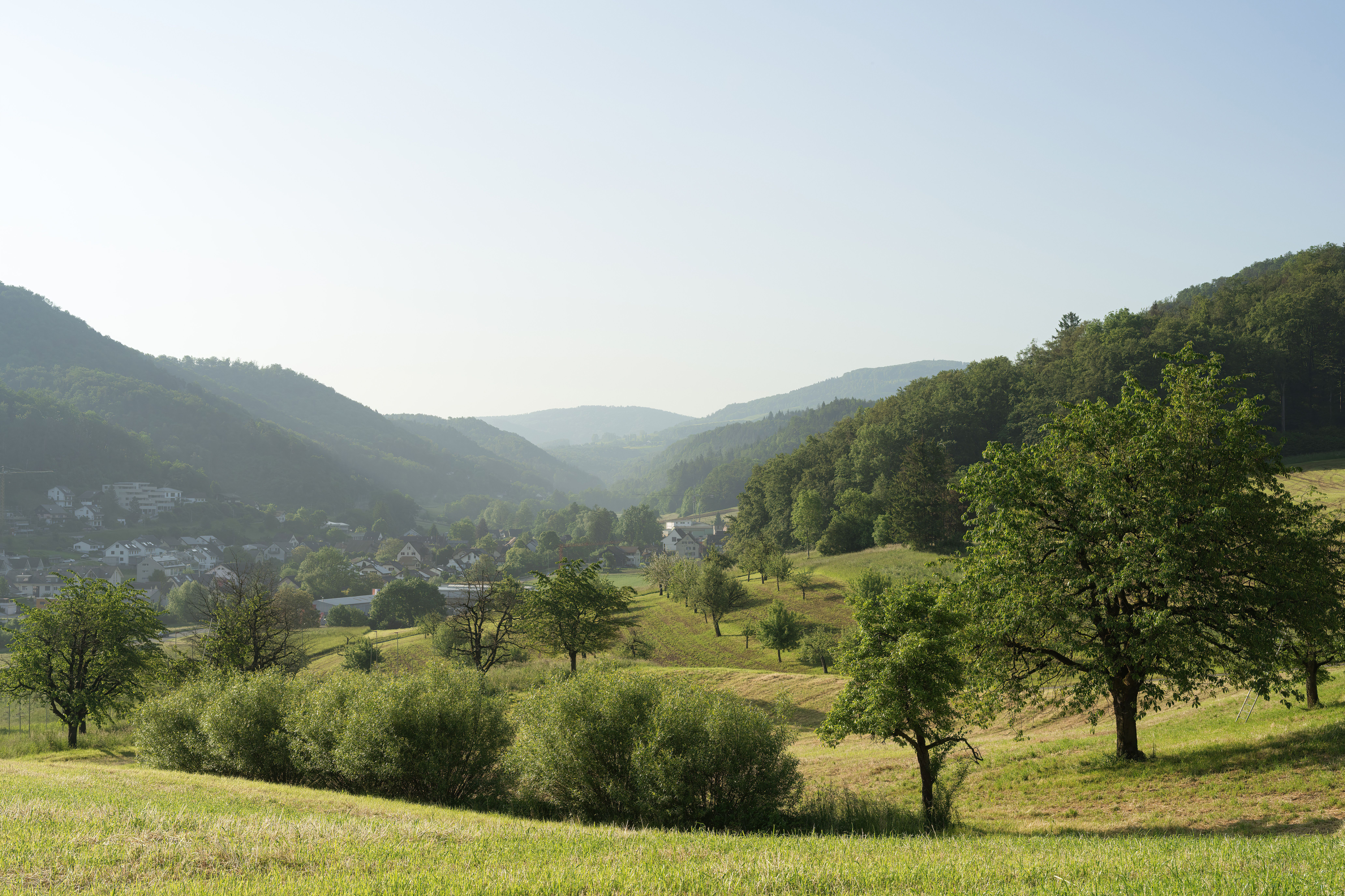 Malerische Naturlandschaft