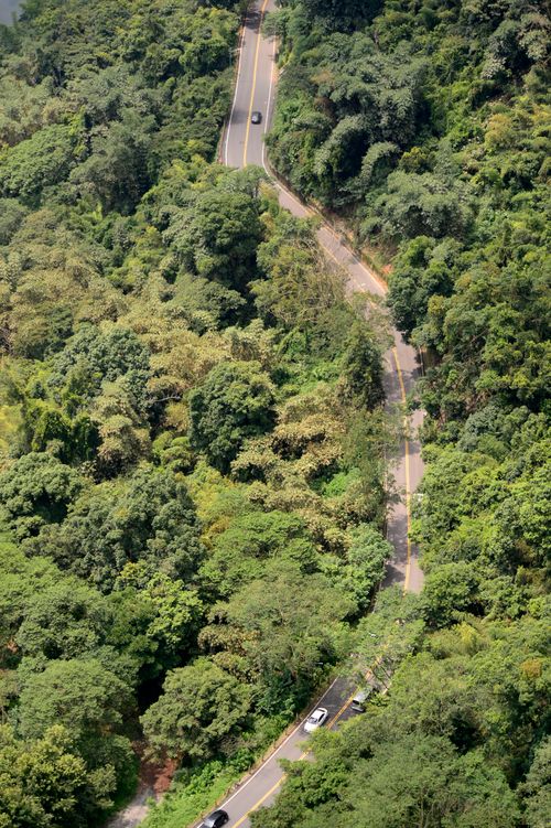 Free High-angle view of a winding road cutting through dense, sunlit forest. Perfect for travel and nature themes. Stock Photo