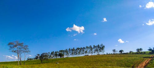 Free stock photo of brasil, cloud, green field