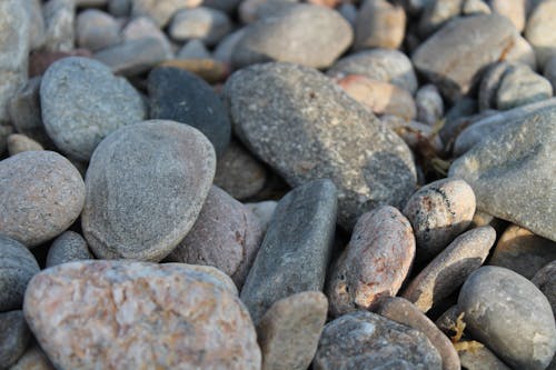 Foto d'estoc gratuïta de concentrar-se, pedres