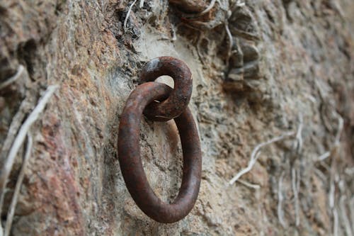 Foto d'estoc gratuïta de cadena, castell, edats majors