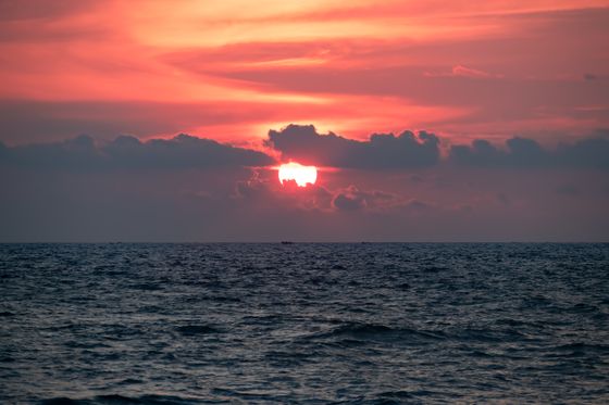 Kovalam Beach