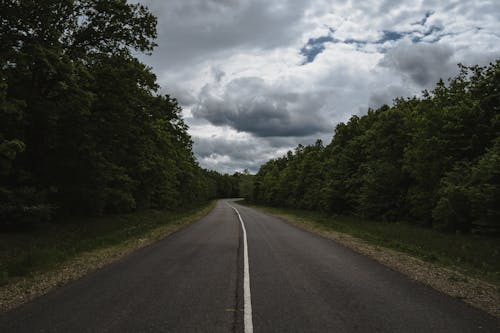 Clouds over Empty Road in Forest