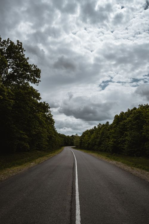 Free A scenic asphalt road surrounded by lush green trees and an overcast sky in Krasnodar, Russia. Stock Photo