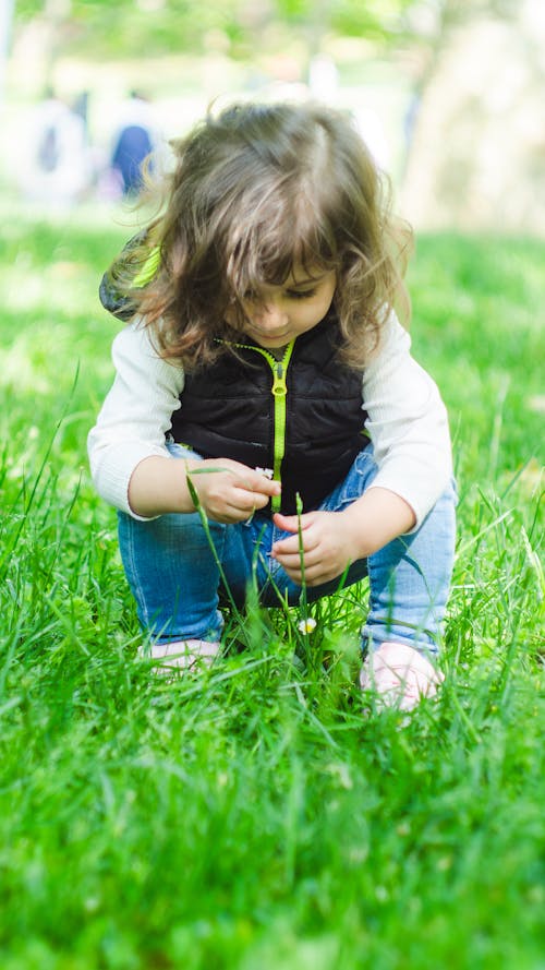 Free stock photo of child, flower