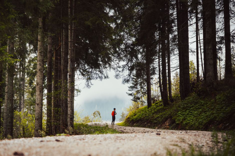 A lone hiker walks along a picturesque forest trail in Berchtesgaden, Germany during summer.