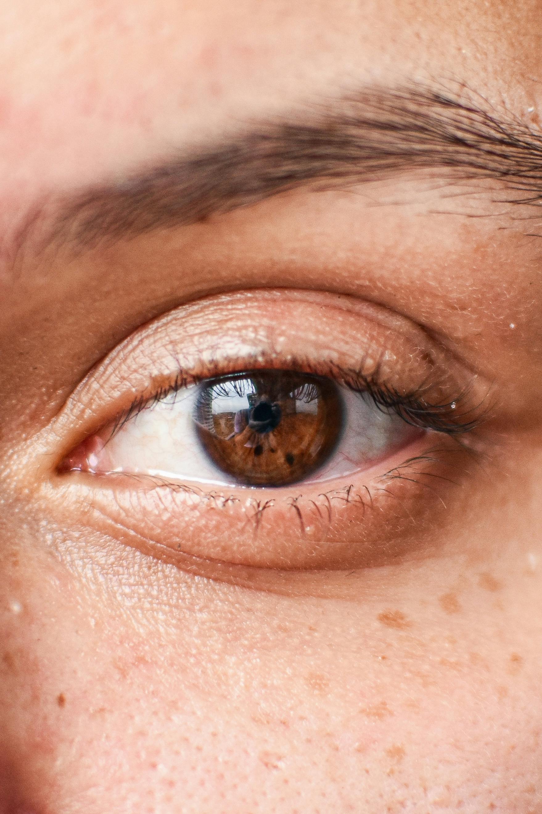 Midden Oysters Eye Photos, Download The BEST Free Midden Oysters Eye