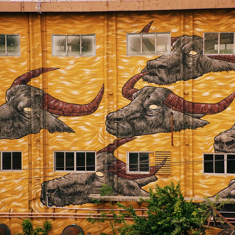 Exterior Painting in Hackney Marshes — walls rolled to an even, flat finish